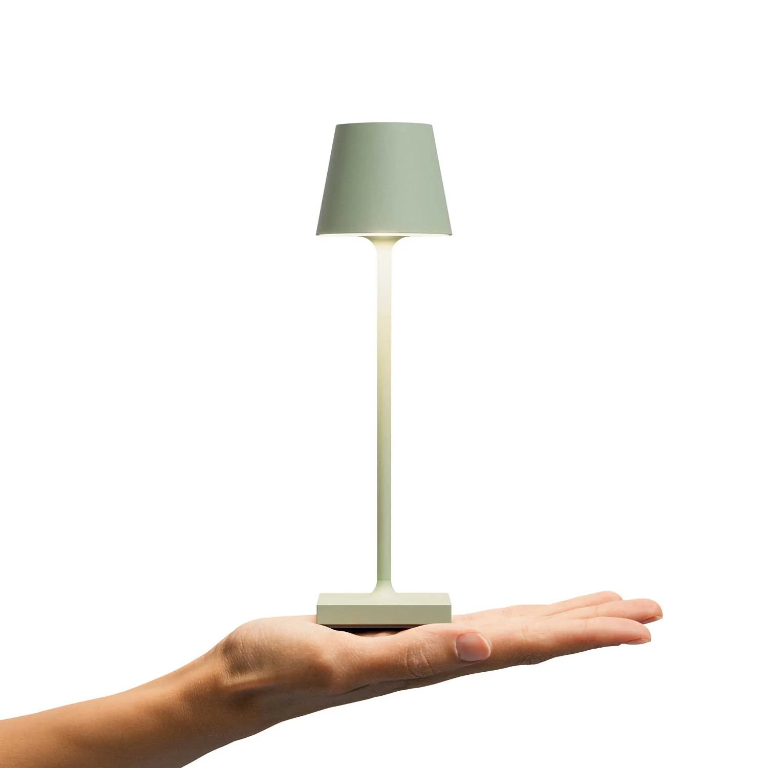 Image du produit 10